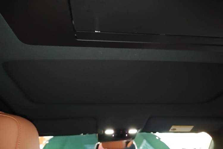 Used Li Auto L9 2023 Pro Model Headliner