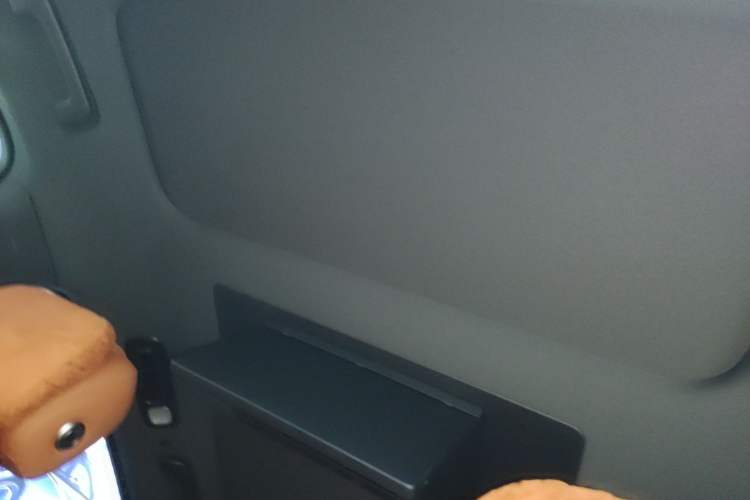 Used Li Auto L9 2023 Pro Model Headliner