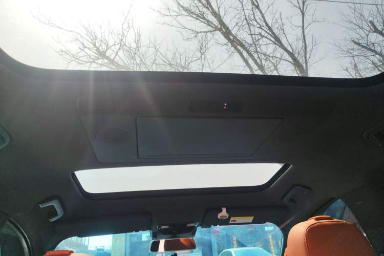 Used Li Auto L9 2023 Pro Model Headliner
