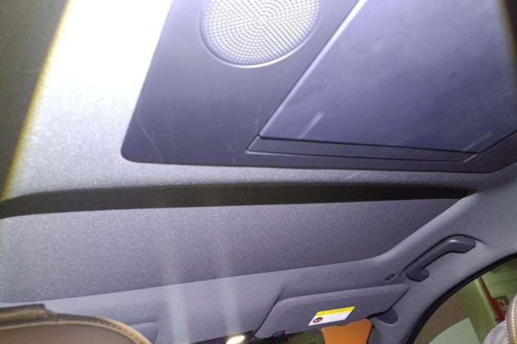 Used Li Auto L9 2023 Pro Model Headliner
