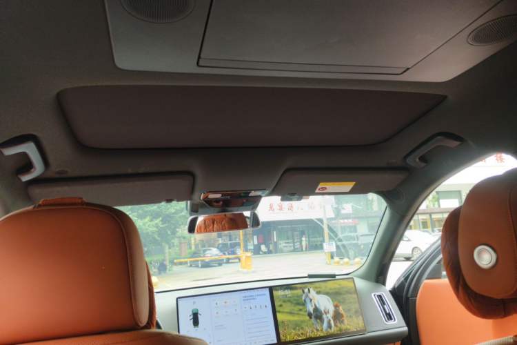 Used Li Auto L9 2023 Pro Model Headliner
