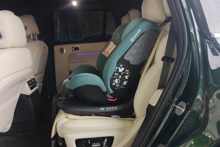 Used Li Auto L9 2023 Pro Model Left Rear Seat