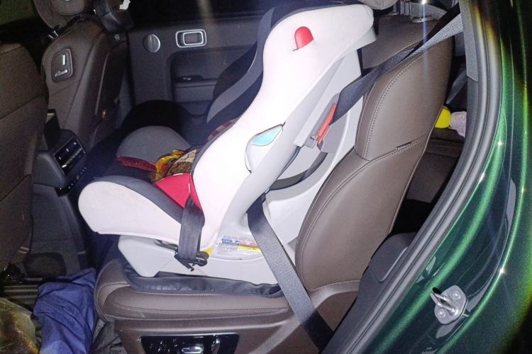 Used Li Auto L9 2023 Pro Model Left Rear Seat
