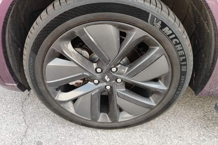 Used Li Auto L9 2023 Pro Model Exterior 4