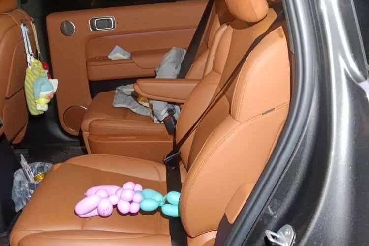Used Li Auto L9 2023 Pro Model Left Rear Seat