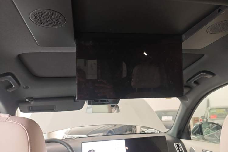 Used Li Auto L9 2023 Pro Model Headliner