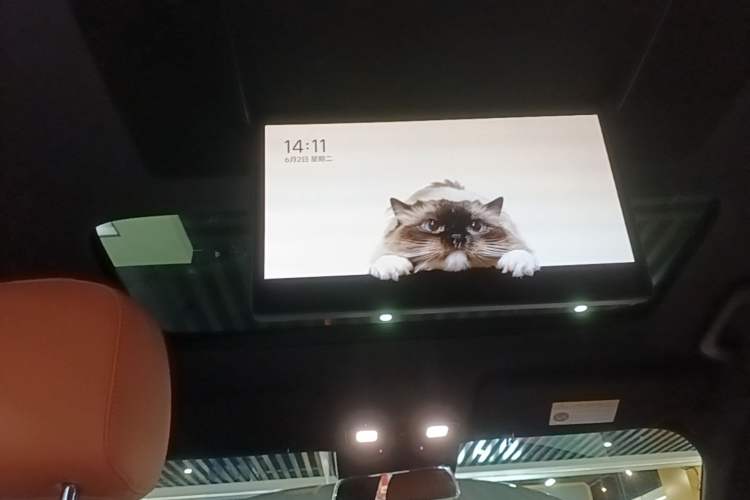 Used Li Auto L9 2023 Pro Model Headliner