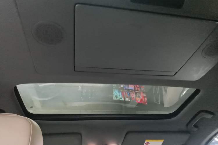 Used Li Auto L9 2023 Pro Model Headliner