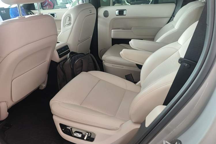 Used Li Auto L9 2023 Pro Model Left Rear Seat