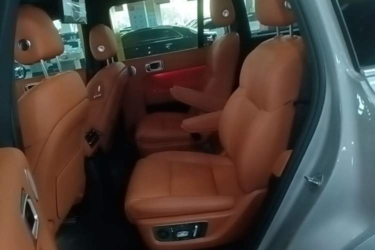 Used Li Auto L9 2023 Pro Model Left Rear Seat
