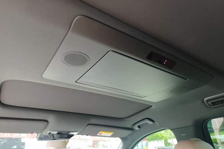 Used Li Auto L9 2023 Pro Model Headliner