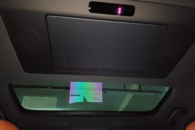 Used Li Auto L9 2023 Pro Model Headliner