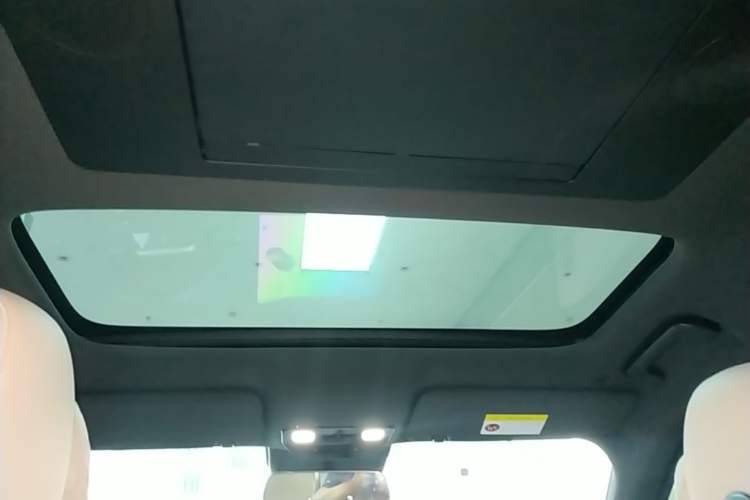 Used Li Auto L9 2023 Pro Model Headliner