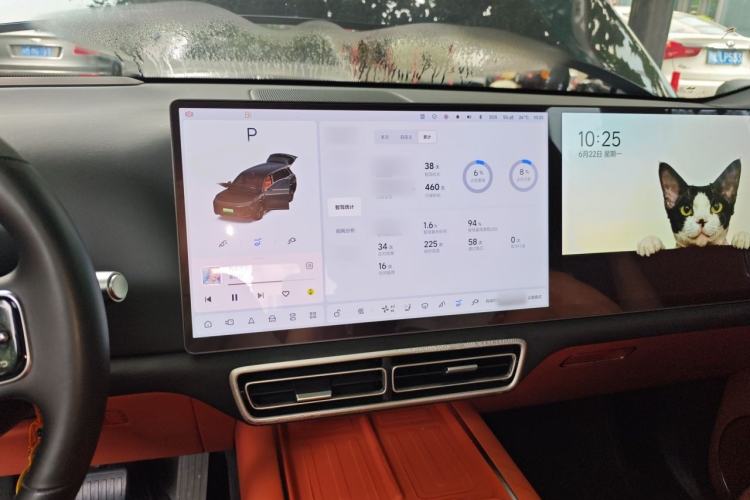 Used Li Auto L9 2024 Ultra Model Audio And AC Panel