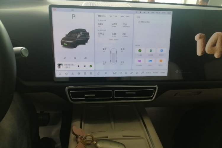 Used Li Auto L9 2024 Ultra Model Audio And AC Panel