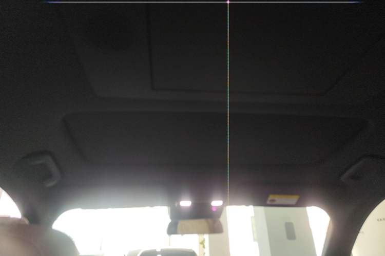 Used Li Auto L9 2024 Ultra Model Headliner
