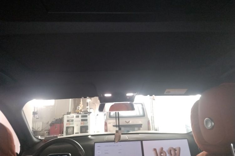 Used Li Auto L9 2024 Pro Model Headliner