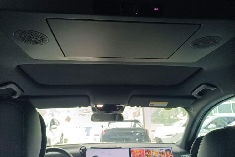 Used Li Auto L9 2024 Pro Model Headliner