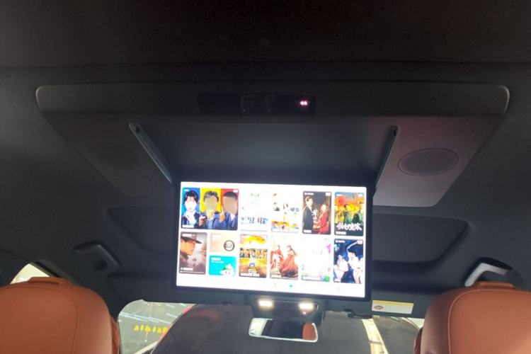 Used Li Auto L9 2024 Ultra Model Headliner
