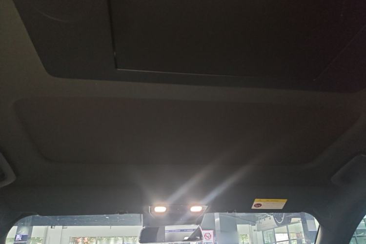 Used Li Auto L9 2024 Ultra Model Headliner
