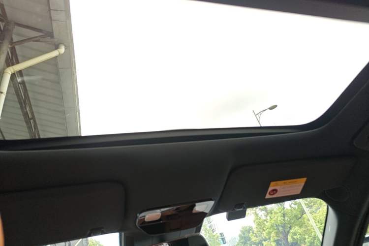 Used Li Auto L9 2024 Ultra Model Headliner