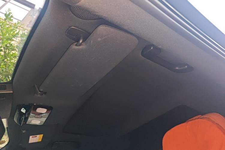Used Li Auto L9 2024 Ultra Model Headliner