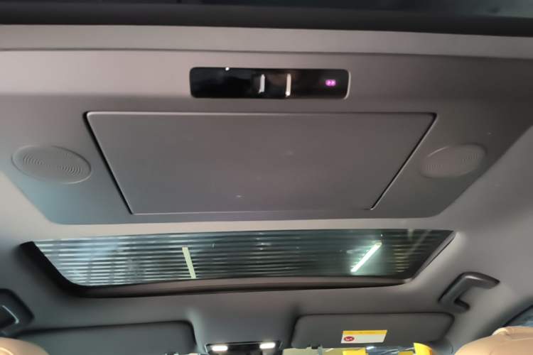 Used Li Auto L9 2024 Ultra Model Headliner