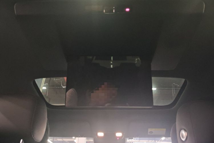 Used Li Auto L9 2024 Ultra Model Headliner
