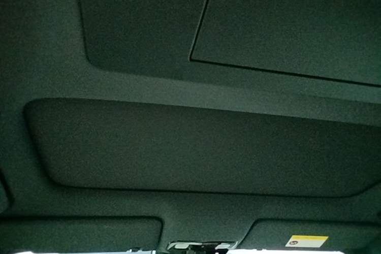 Used Li Auto L9 2024 Ultra Model Headliner