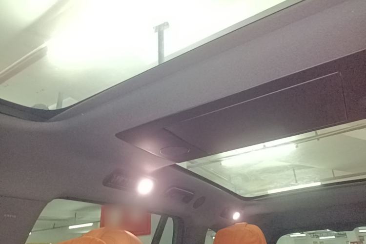 Used Li Auto L9 2024 Ultra Model Headliner