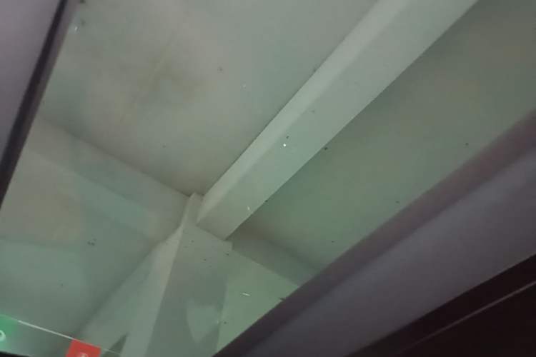 Used Li Auto L9 2024 Ultra Model Headliner
