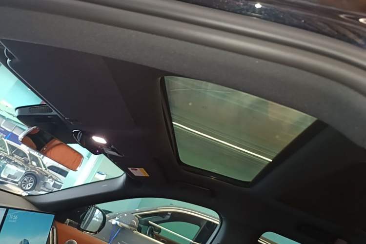Used Li Auto L9 2024 Ultra Model Headliner