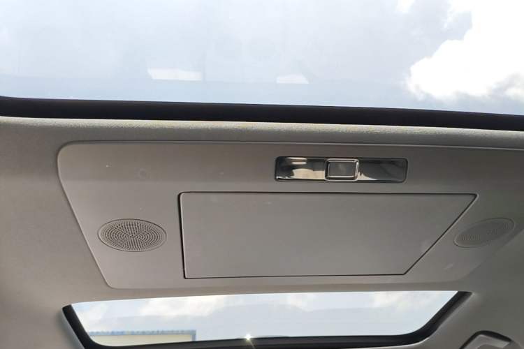 Used Li Auto L9 2024 Ultra Model Headliner