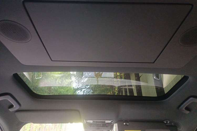 Used Li Auto L9 2024 Ultra Model Headliner