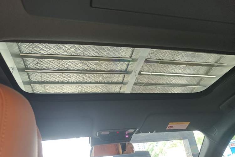 Used Li Auto L9 2024 Pro Model Headliner