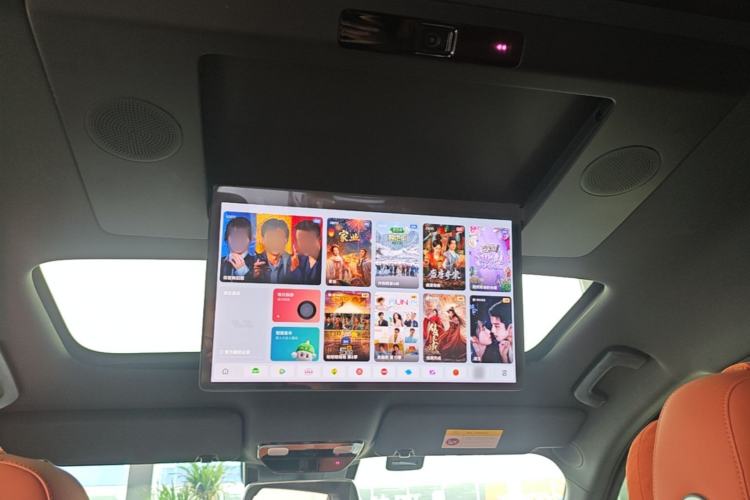 Used Li Auto L9 2024 Ultra Model Headliner