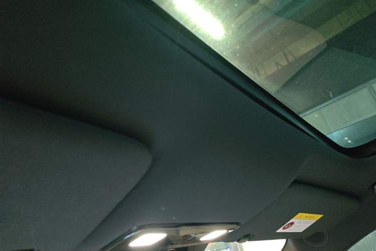 Used Li Auto L9 2024 Ultra Model Headliner