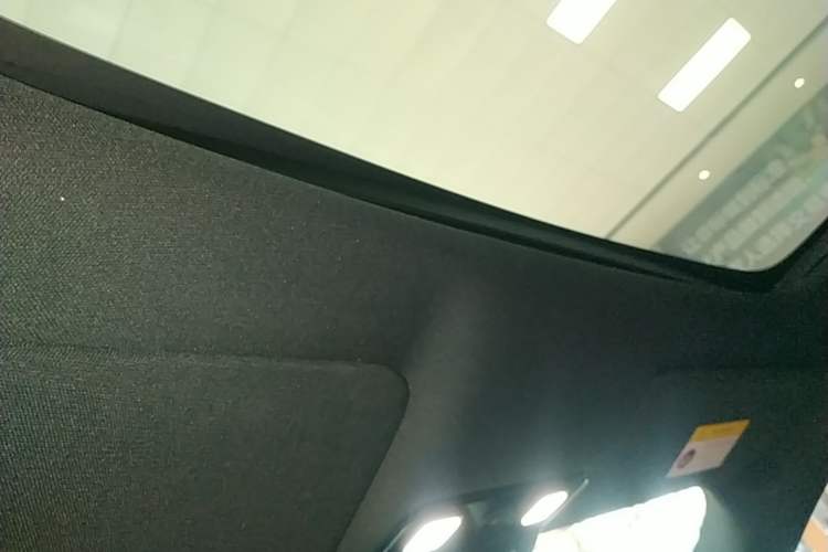 Used Li Auto L9 2024 Pro Model Headliner