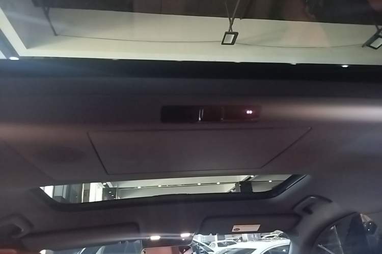 Used Li Auto L9 2024 Ultra Model Headliner