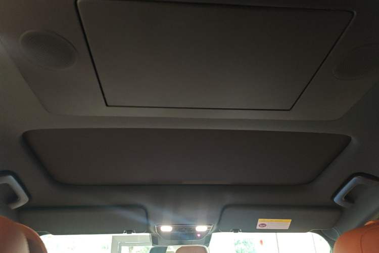 Used Li Auto L9 2024 Ultra Model Headliner