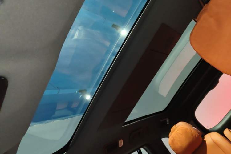 Used Li Auto L9 2024 Pro Model Headliner
