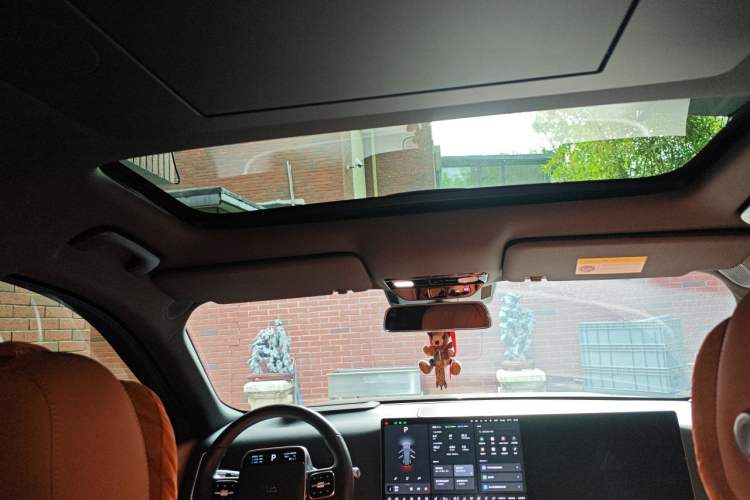 Used Li Auto L9 2024 Ultra Model Headliner
