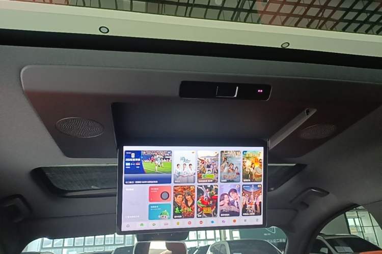 Used Li Auto L9 2024 Ultra Model Headliner
