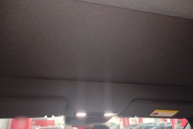 Used Li Auto L9 2024 Pro Model Headliner