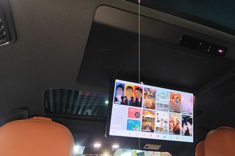 Used Li Auto L9 2024 Ultra Model Headliner