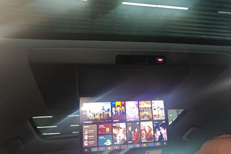 Used Li Auto L9 2024 Ultra Model Headliner