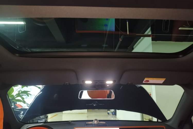 Used Li Auto L9 2024 Ultra Model Headliner