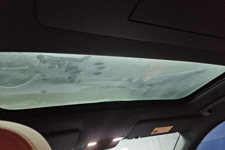 Used Li Auto L9 2024 Ultra Model Headliner