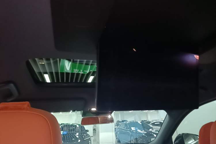 Used Li Auto L9 2024 Ultra Model Headliner
