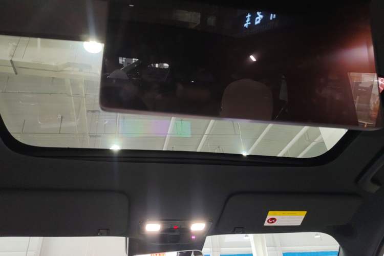 Used Li Auto L9 2024 Ultra Model Headliner